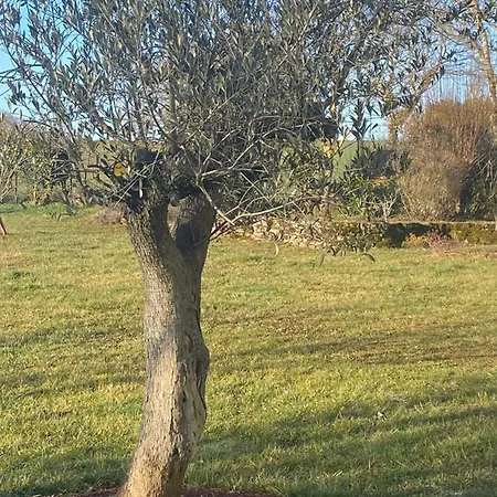 D'hotes Les Grillons Olemps